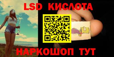 дмт Славгород