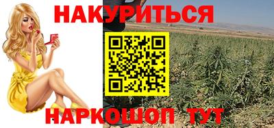 амф Сланцы